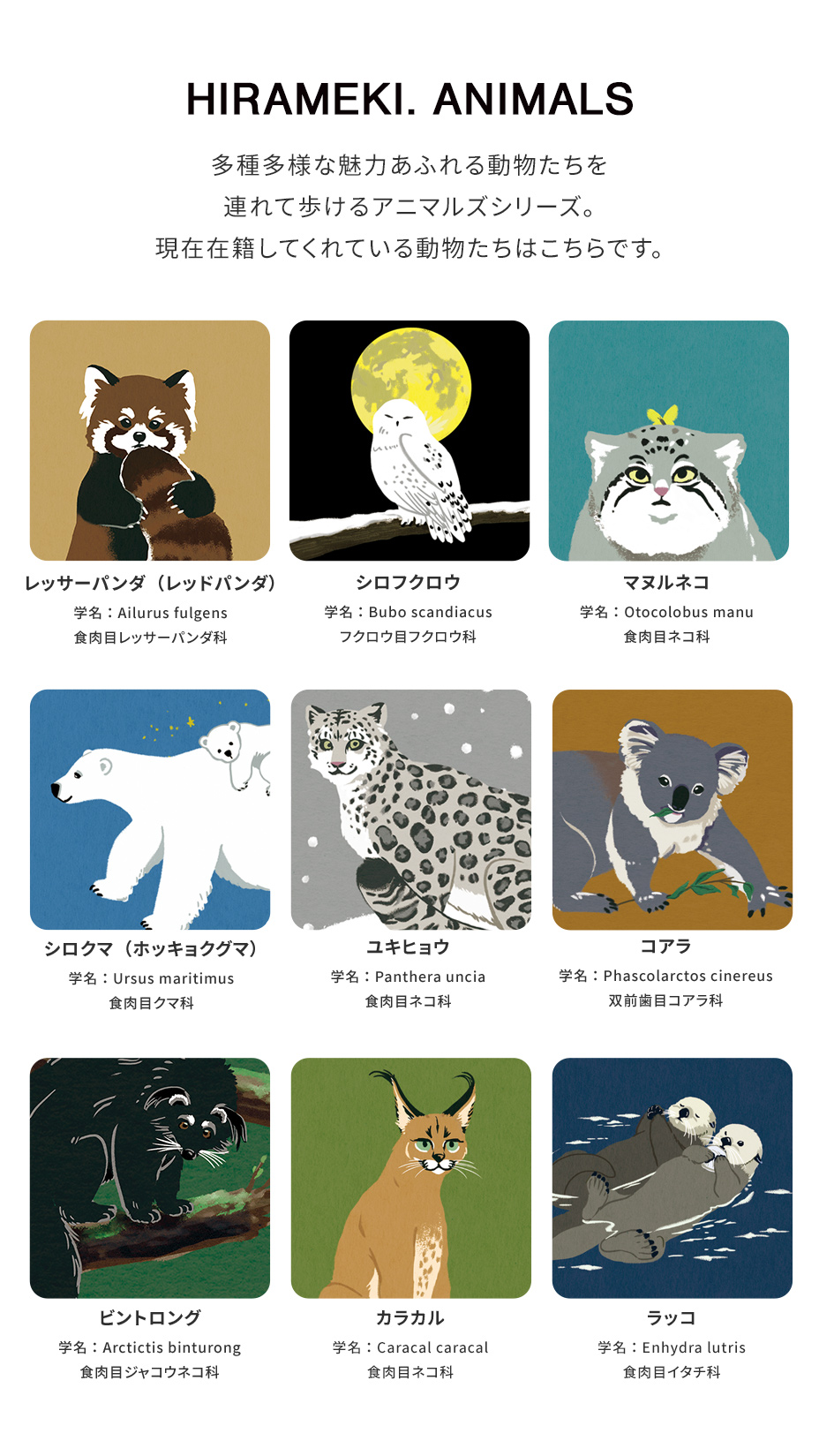 アニマルズのメンバーたち