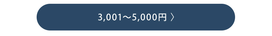 3,001～5,000円でギフトを選ぶ