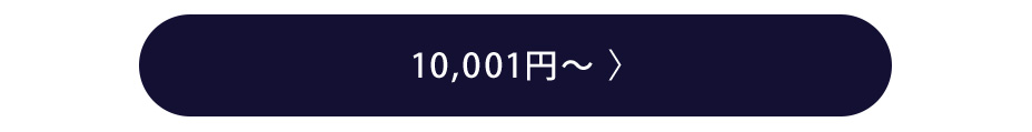 10,001円～のギフトを選ぶ