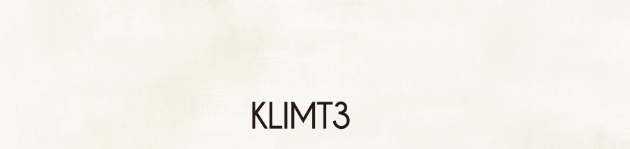 KLIMT3