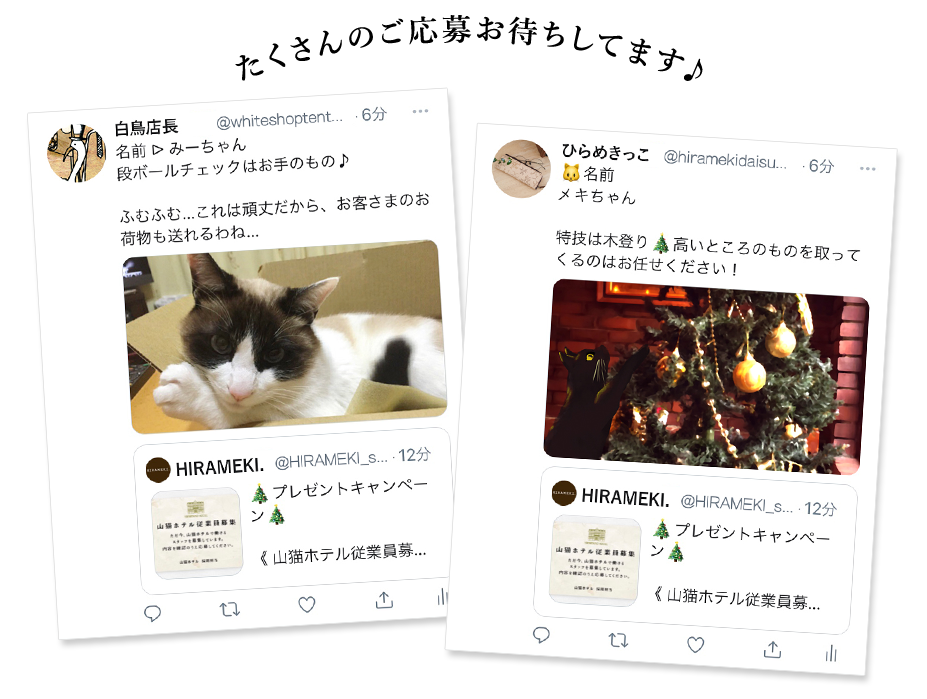 クリスマスフェア クリスマスフェア