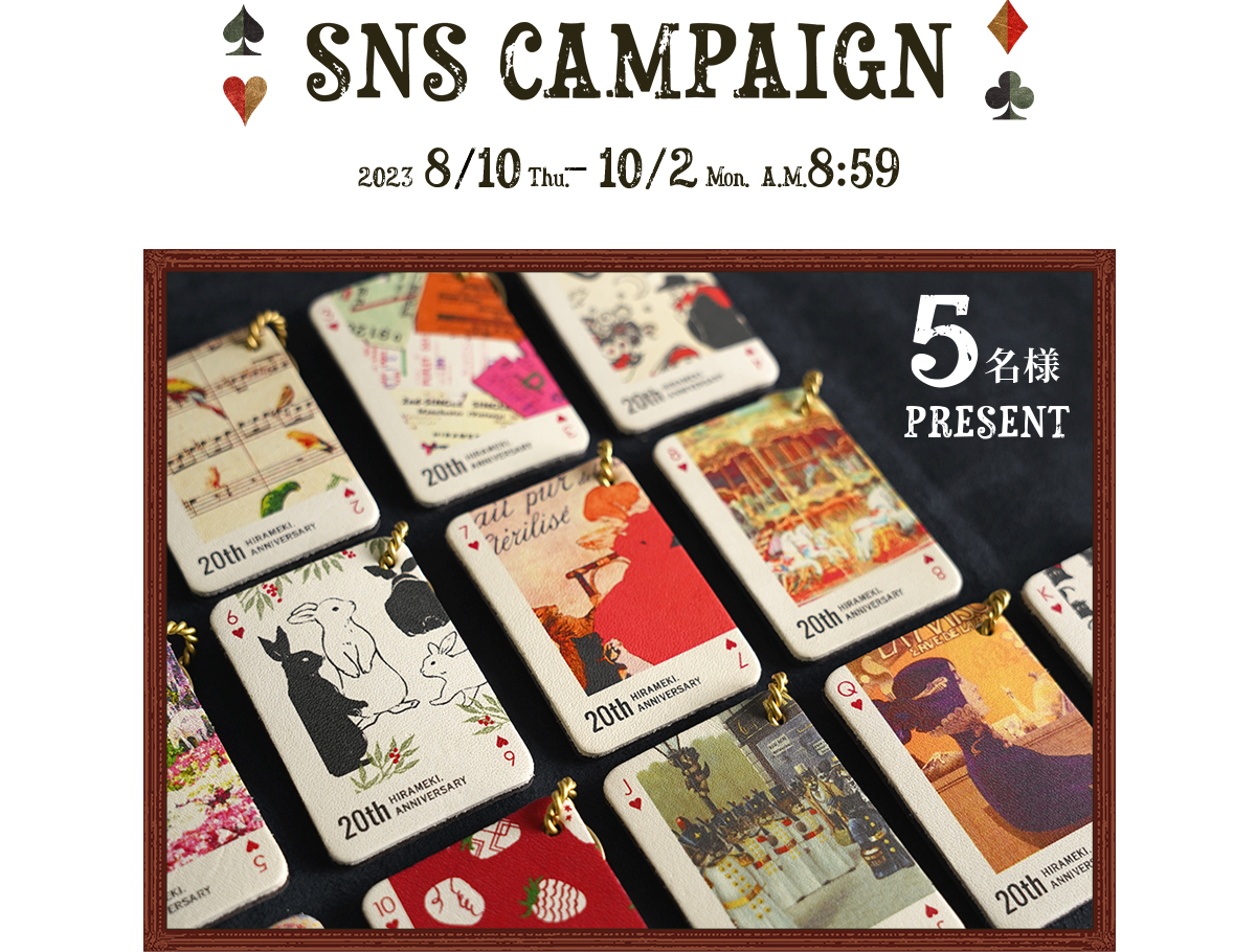 SNS CAMPAIGN