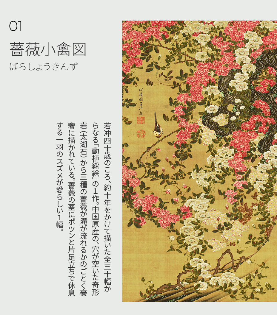 薔薇小禽図 ご紹介について