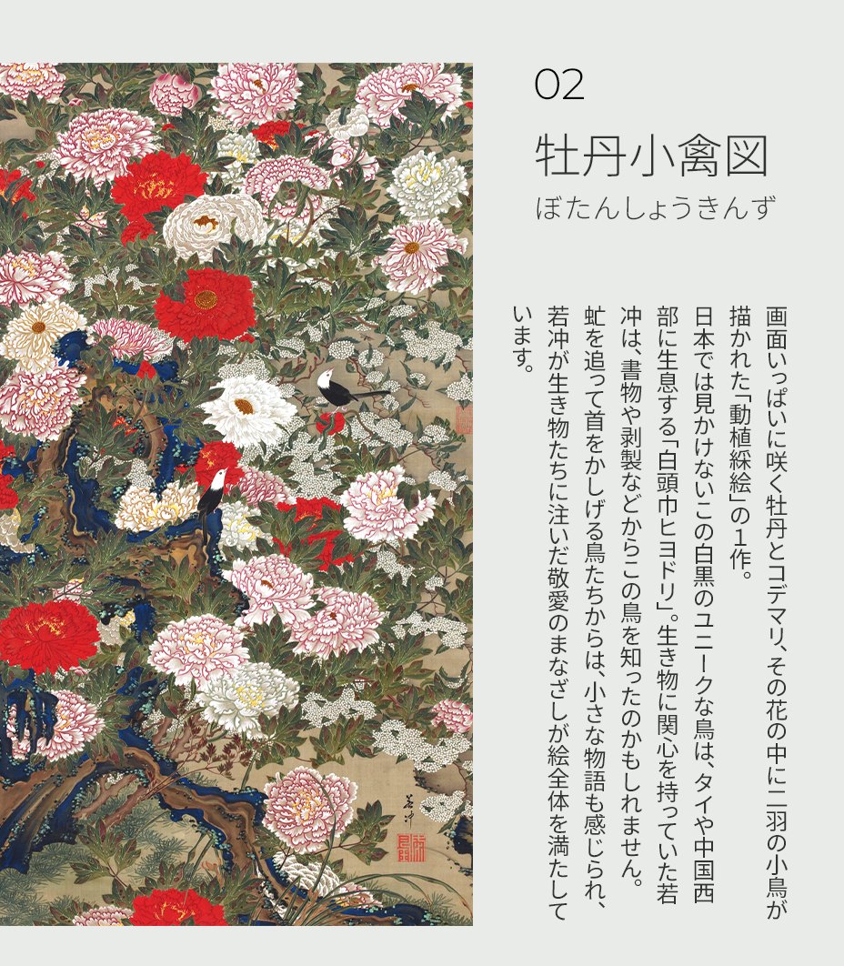 牡丹小禽図 ご紹介について