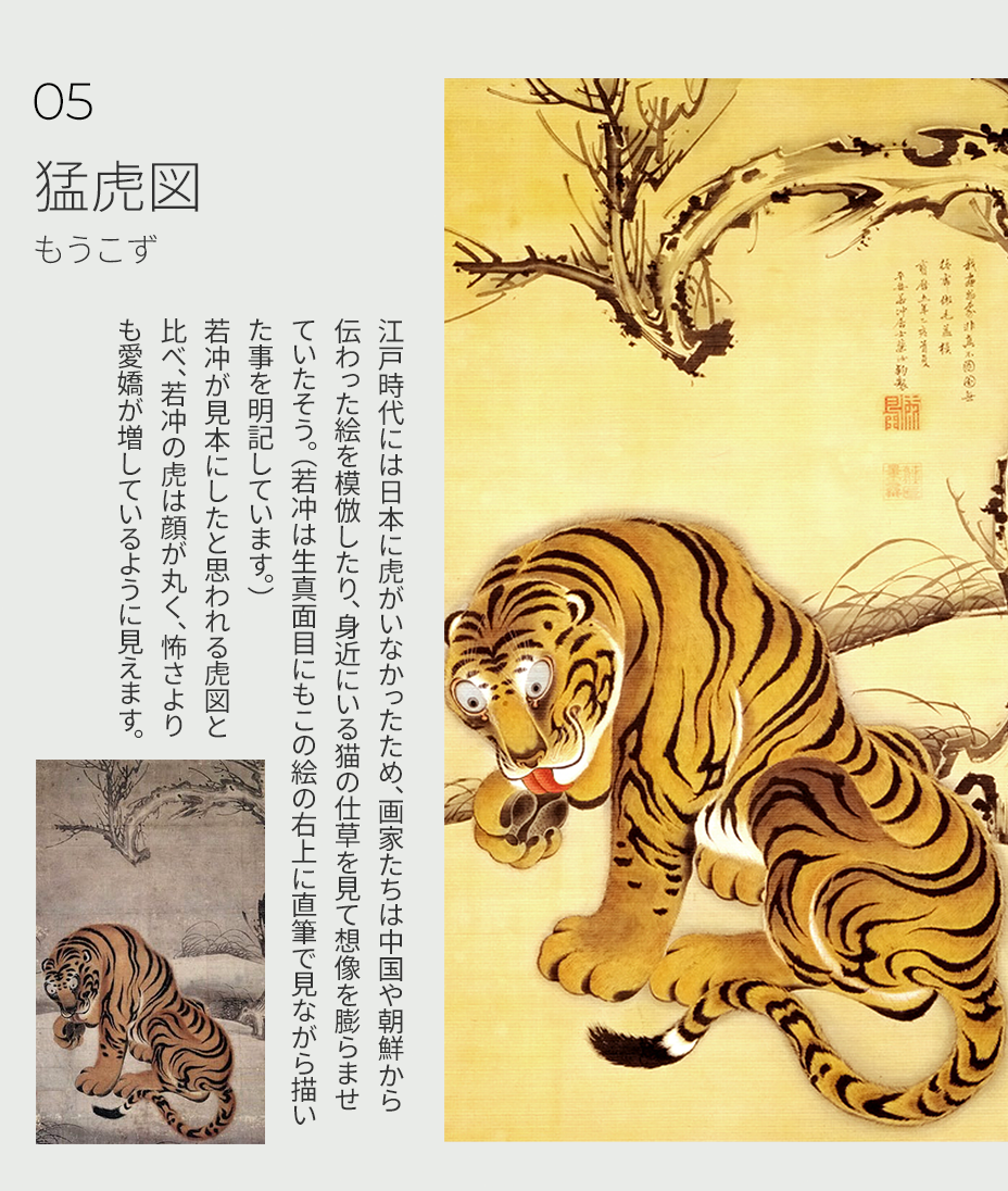 猛虎図 ご紹介について