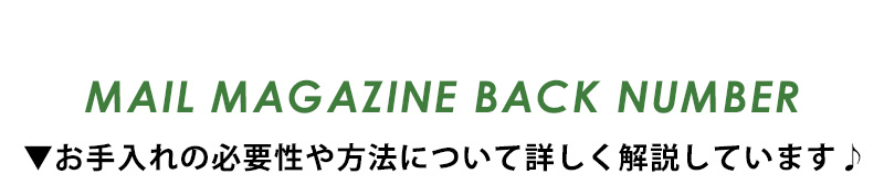 MAIL MAGAZINE BACK NUMBER v̂̕Kv@ɂďڂĂ܂