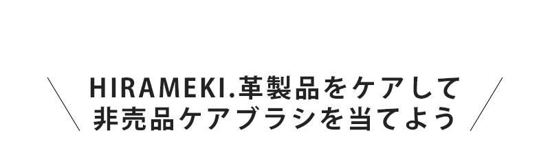HIRAMEKI.viPAĔ񔄕iPAuV𓖂Ă悤